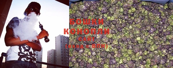 PSILOCYBIN Бронницы