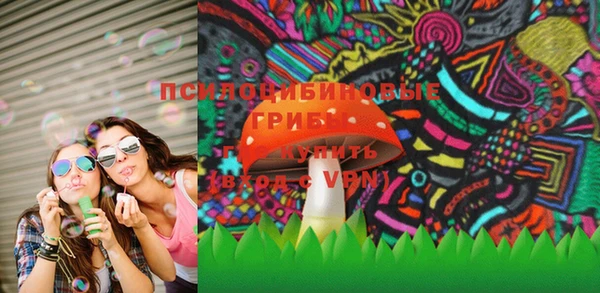 PSILOCYBIN Бронницы