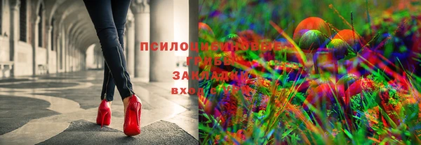 MDMA Бородино