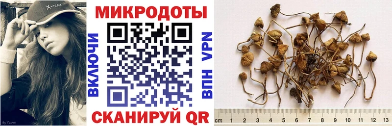 Купить где  Бузулук  Галлюциногенные грибы MAGIC MUSHROOMS 