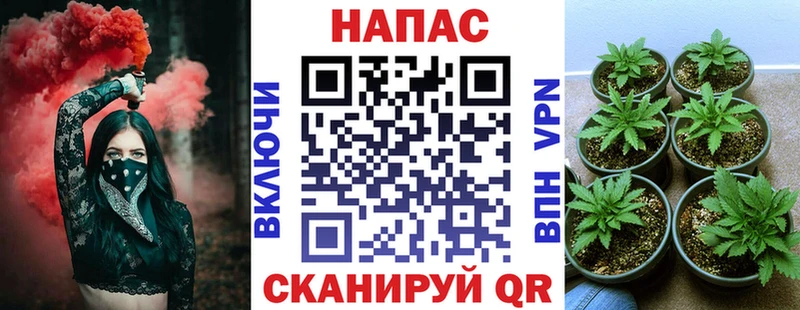 Бошки Шишки сатива Бузулук